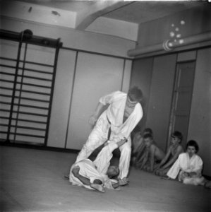 Judoserie, Bestanddeelnr 912-0118