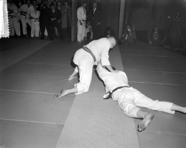 Judowedstrijd Belgie tegen Nederland te Antwerpen, Bestanddeelnr 912-1710