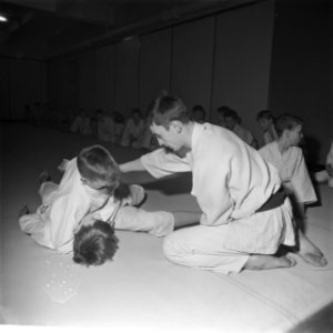 Judoserie, Bestanddeelnr 912-0116