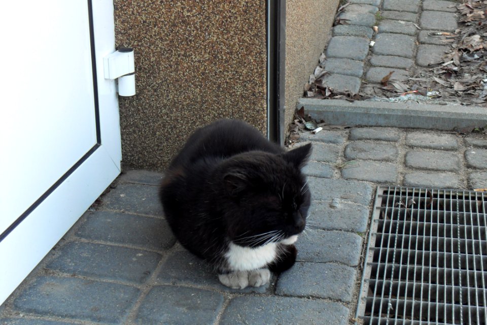 Just sitting (in Gdańsk)