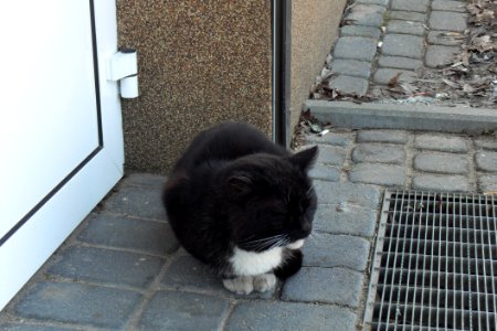 Just sitting (in Gdańsk)