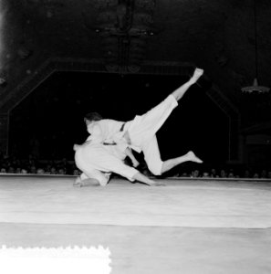 Judoserie, Bestanddeelnr 908-6064