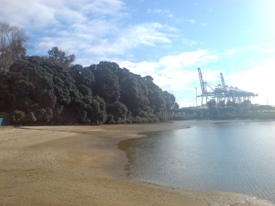 Judges Bay Looking West Towards Port