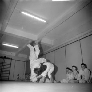 Judoserie, Bestanddeelnr 912-0120