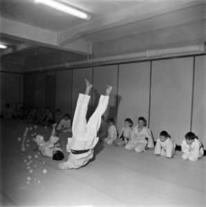 Judoserie, Bestanddeelnr 912-0136