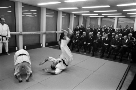 Judo-demonstratie, Bestanddeelnr 921-9447
