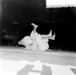Judoserie, Bestanddeelnr 908-6044