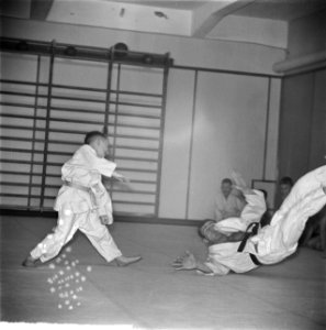 Judoserie, Bestanddeelnr 912-0135