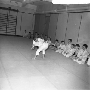 Judoserie, Bestanddeelnr 912-0130