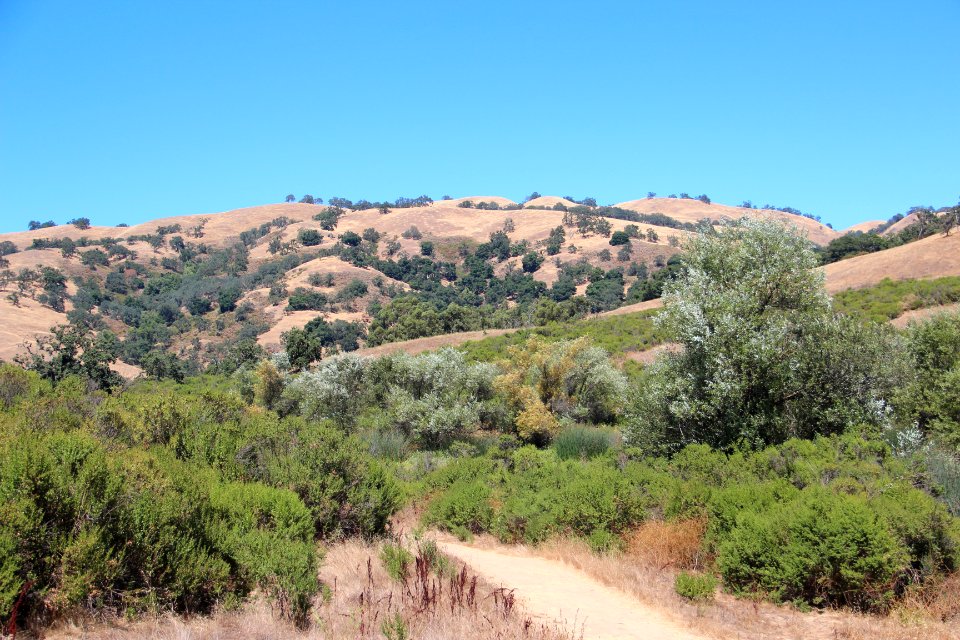 Joseph D. Grant County Park Aug 2019 2