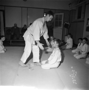 Judoserie, Bestanddeelnr 912-0115