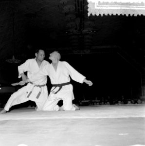 Judoserie, Bestanddeelnr 908-6060