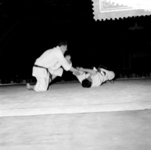 Judoserie, Bestanddeelnr 908-6052