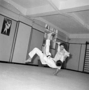 Judoserie met Tweede Kamer lid Mevrouw van Someren, Bestanddeelnr 912-1436