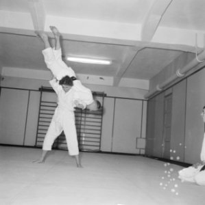 Judoserie met Tweede Kamer lid Mevrouw van Someren, Bestanddeelnr 912-1430