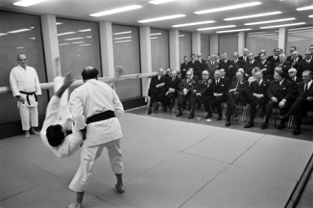 Judo-demonstratie, Bestanddeelnr 921-9448