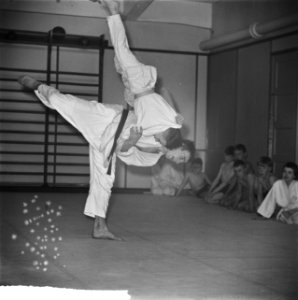Judoserie, Bestanddeelnr 912-0138