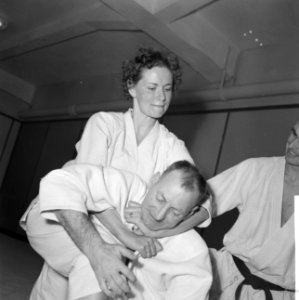 Judoserie met Tweede Kamer lid Mevrouw van Someren, Bestanddeelnr 912-1428