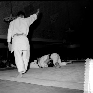 Judoserie, Bestanddeelnr 908-6053