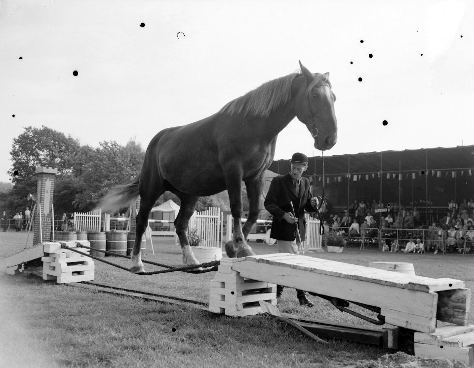 Jubileum Concours Hippique Den Haag, Bestanddeelnr 907-2857
