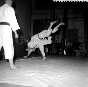 Judokampioenschappen in Vlaardingen, Bestanddeelnr 909-3190