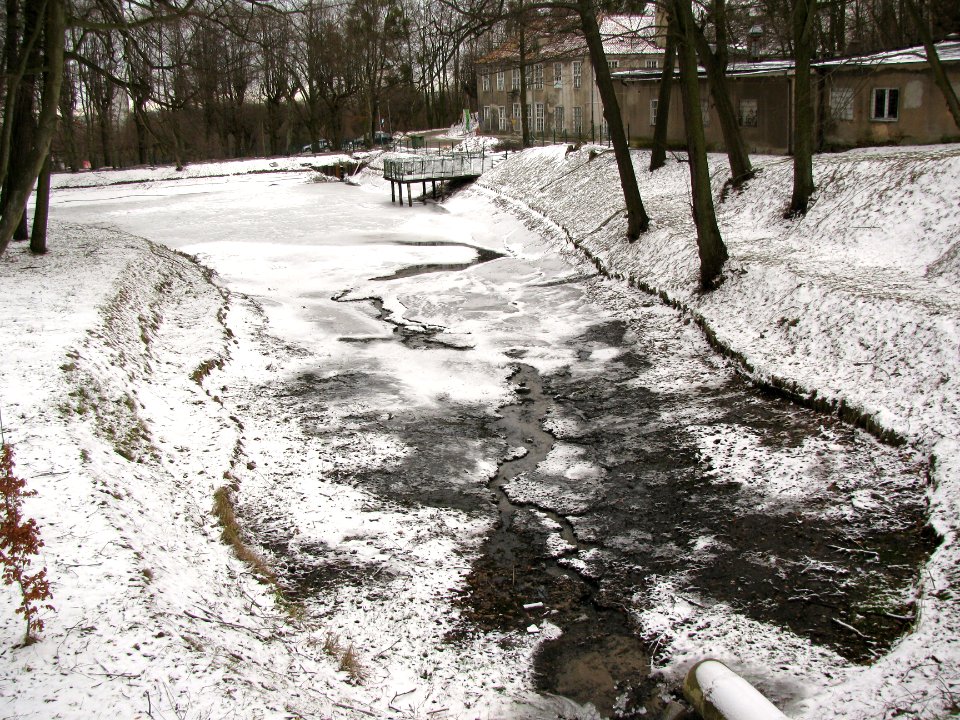 IV Dwór w Gdańsku - pusty staw