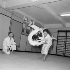 Judoserie met Tweede Kamer lid Mevrouw van Someren, Bestanddeelnr 912-1439