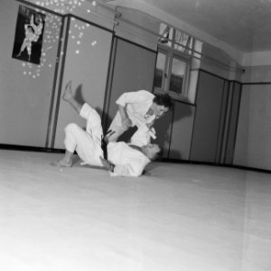 Judoserie met Tweede Kamer lid Mevrouw van Someren, Bestanddeelnr 912-1443