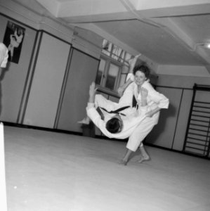 Judoserie met Tweede Kamer lid Mevrouw van Someren, Bestanddeelnr 912-1435
