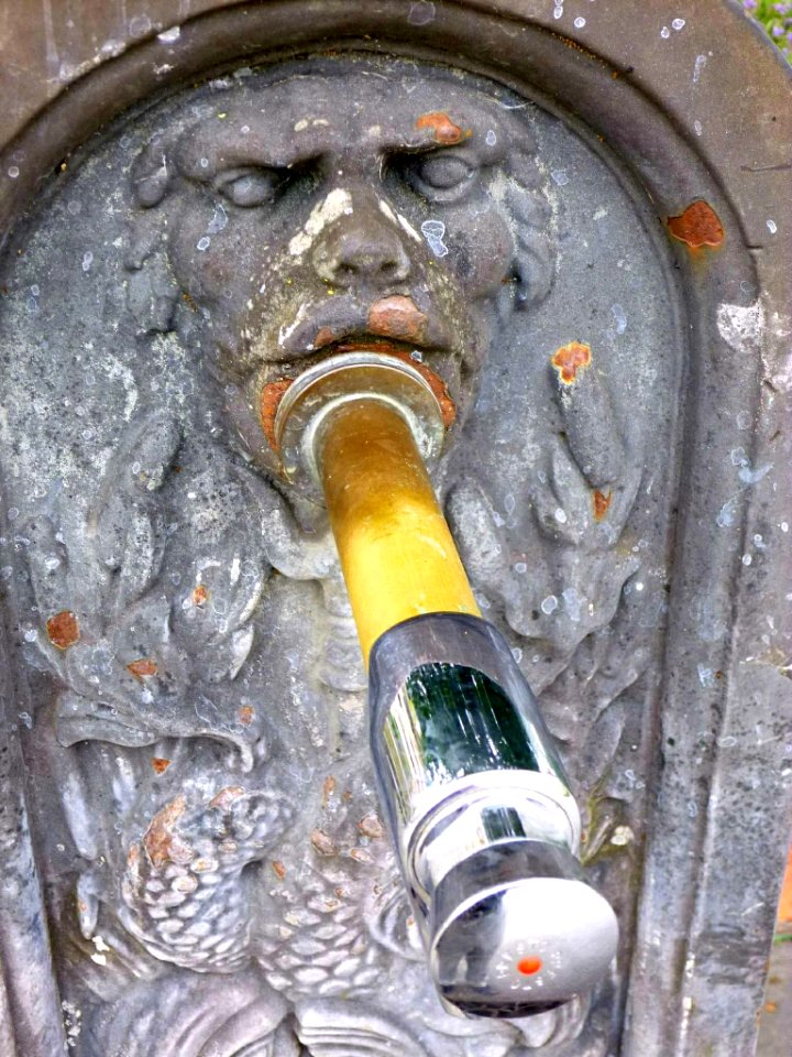 Iurreta - Fuente 1