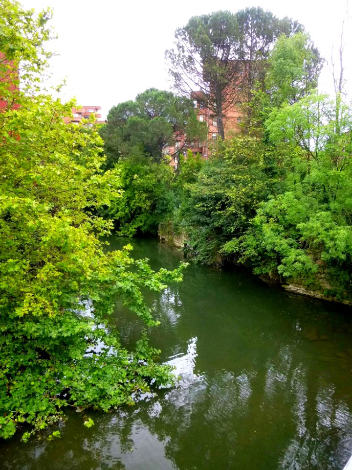 Iurreta - Río Ibaizábal