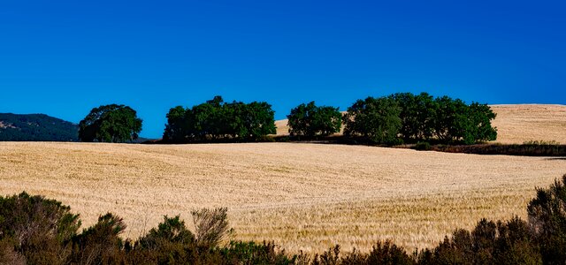 Hills hdr nature photo