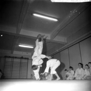 Judoserie, Bestanddeelnr 912-0119