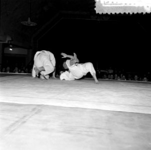 Judoserie, Bestanddeelnr 908-6051