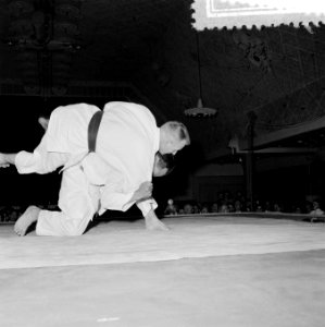Judoserie, Bestanddeelnr 908-6062