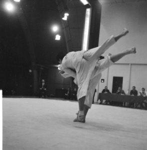 Judo Nederland tegen Korea in Tivoli te Utrecht, Bestanddeelnr 913-3416