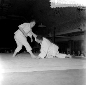 Judoserie, Bestanddeelnr 908-6045