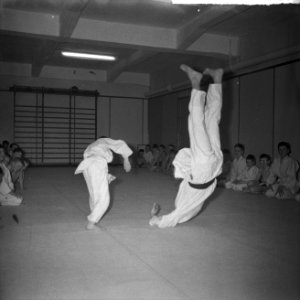 Judoserie, Bestanddeelnr 912-0131