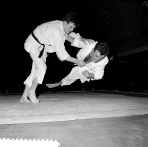 Judoserie, Bestanddeelnr 908-6054