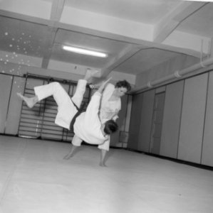 Judoserie met Tweede Kamer lid Mevrouw van Someren, Bestanddeelnr 912-1437
