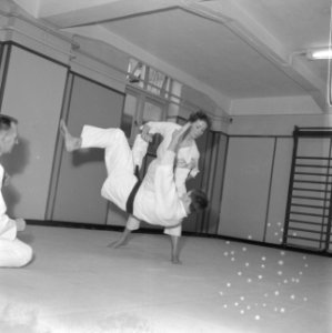 Judoserie met Tweede Kamer lid Mevrouw van Someren, Bestanddeelnr 912-1442