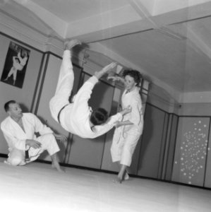 Judoserie met Tweede Kamer lid Mevrouw van Someren, Bestanddeelnr 912-1440