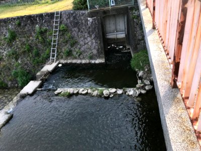 Izumigawa river outlet adjacent to Yamabana bashi bridge 20200509
