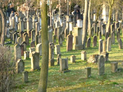 Juedischer Friedhof Mannheim 02