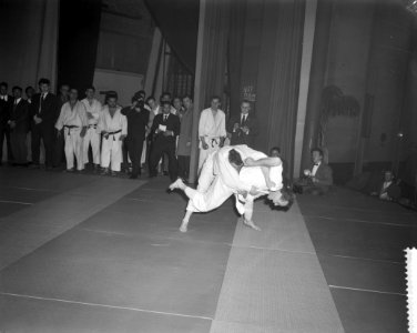 Judowedstrijd Belgie tegen Nederland te Antwerpen, Bestanddeelnr 912-1709