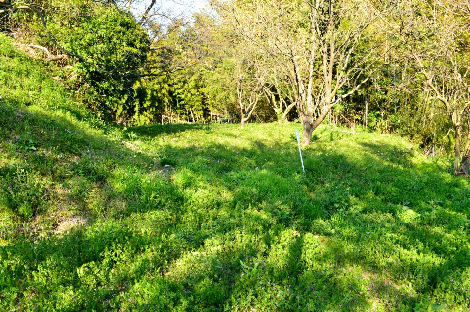 Iwaya Kofun (Yonago), tsukuridashi