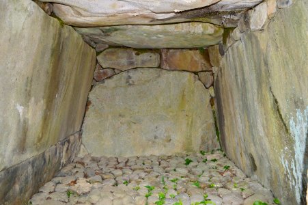 Iwauchi Kofun Group-1, genshitsu-1