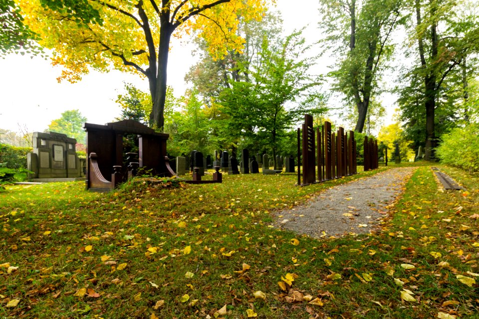 Jüdischer Friedhof (Görlitz) (2)