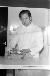 J.E. Gajentaan, dierenarts te Amsterdam, behandelt een hondje, Bestanddeelnr 924-4777