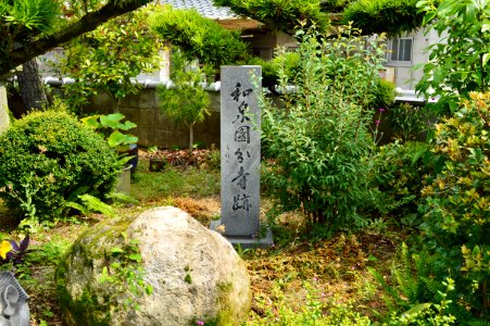 Izumi Kokubunji, sekihi